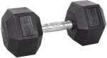 inSPORTline Gantera hexagonala inSPORTline 22.5 Kg (22091) - sportist