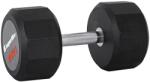 inSPORTline Gantera fixa inSPORTline Profi CPU 45 Kg (21676)