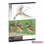 Ars Una Ars Una Máté Bence Wild Life Moments-2 A/5 leckefüzet (50840434) - nyomtassotthon