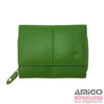 Giorgio Carelli 516050 048 Giorgio Carelli bőr pénztárca zöld
