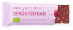 Vilgain Sprouted Energy Bar BIO -⁠ Baton RAW din hrișcă germinată, din 3 ingrediente, bogat în mod natural în magneziu și fier - vilgain - 6,99 RON