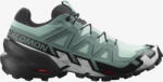 Salomon Speedcross 6 női futócipő 40.6 (417431-8H)