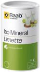 Raab Vitalfood Iso Mineral Limette [600 грама] Лайм