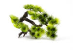 Jk Bonsai akváriumba kicsi Jk 18300