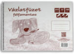 Iskola Félfamnetes spirálos vázlatfüzet B/5 32 lapos, 120g (P1115-0032-546124)
