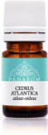 Panarom Atlasz-cédrus illóolaj 10 ml - Panarom