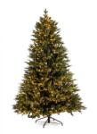 Bizzotto Brad artificial verde 7456 ramuri 2500 leduri Berkshire 152x240 cm (0970093)