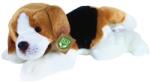 Rappa Jucărie de pluș Rappa Eco Friends - Basset Hound, culcat, 30 cm (203952)