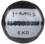 HMS Wall Ball HMS WLB 6 kg (ABI-17-41-026)