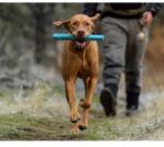Ruffwear Gnawt-a-Stick kutyajáték Red Sumac piros
