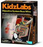 4M Sistemul digestiv 4M KidzLabs (M4603386)