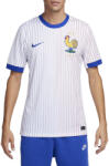 Nike FFF M NK DF STAD JSY SS AW 2024 Póló fj4273-100 Méret S
