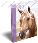  Keményfedeles notesz/Emlékkönyv, Lovas- pink (A6) (I_5009)