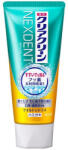 Clear Clean (KAO) - Nexdent Toothpaste Mild Citrus 120g