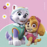 Procos Szalvéták - Paw Patrol Skye & Everest 20 db
