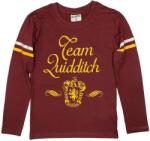 EPlus Fiú hosszú ujjú póló - Harry Potter Kviddics bordó Méret - gyermek: 158