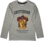 EPlus Fiú hosszú ujjú póló - Harry Potter Griffendél szürke Méret - gyermek: 140