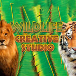 Alternative Software Licență Wildlife Creative Studio (1 dispozitiv / Lifetime) (Steam) (WCS-1LT)