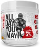 Rich Piana 5% Nutrition All Day You May | BCAA Recovery Drink [450 грама] Манго с ананас