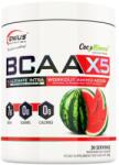 Genius Nutrition Bcaa x5 [360 грама] Диня