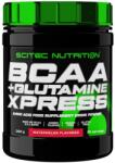 Scitec Nutrition BCAA + Glutamine Xpress [300 грама] Диня
