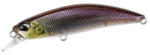 DUO SPEARHEAD RYUKI 60S 6cm 6.5gr GSN4011 Stream Shad
