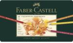 Faber-Castell Creioane colorate 60 cul Polychromos Faber-Castell (FC110060SD)