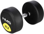 HMS Gantera fixa HMS HG PRO 27.5Kg (17-66-162)