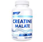 SFD Nutrition Kreatin-malát