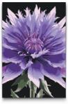  Festés számok szerint - Búzavirág Méret: 40x60cm, Keretezés: Kartonlemezen