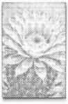 PontPöttyöző - Kaktuszvirág Méret: 20x30cm, Keretezés: Kartonlemezen, Szín: Zöld