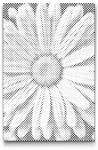  PontPöttyöző - Százszorszép Méret: 40x60cm, Keretezés: Kartonlemezen, Szín: Zöld