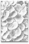  PontPöttyöző - Hortenzia Méret: 20x30cm, Keretezés: Műanyagtáblával, Szín: Piros
