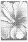  PontPöttyöző - Hibiszkusz Méret: 20x30cm, Keretezés: Kartonlemezen, Szín: Fekete