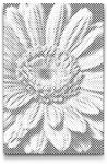  PontPöttyöző - Gerbera Méret: 40x60cm, Keretezés: Műanyagtáblával, Szín: Fekete