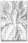  PontPöttyöző - Írisz Méret: 20x30cm, Keretezés: Kartonlemezen, Szín: Piros