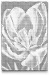  PontPöttyöző - Tulipán Méret: 20x30cm, Keretezés: Kartonlemezen, Szín: Kék