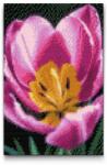  Gyémántszemes kirakó - Tulipán Méret: 20x30cm, Keretezés: Keret nélkül (csak a vászon), Gyémántok: Kerek