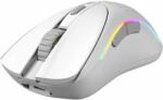 Glorious PC Gaming Race Model D 2 Wireless White (GLO-MS-DWV2-MW) Mouse