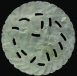  Amuleta Jad - Zodia Chinezeasca Cocos - 55 x 5 mm