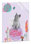 Ars Una Cute Animals-Kitten 24 (5368) A4 gumis mappa (ARS_UNA_50213689) (ARS_UNA_50213689)