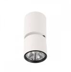 Italux Boniva - IT-SPL-2854-1-SC-WH /KIFUTÓ! ! / (IT-SPL-2854-1-SC-WH)