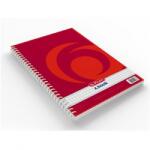 Herlitz Spirálfüzet A/5 kockás HERLITZ X. Book 80 lap