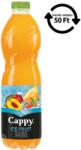 Cappy Ice Fruit Őszibarack - Dinnye 1, 5 L DRS