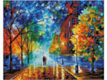 iPicasso Set goblen cu diamante, cu sasiu, Frumusetea toamnei - Leonid Afremov, 40x50 cm (PD4050068)