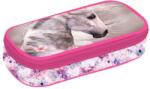 KARTON P+P Case etue confort cal romantic Penar