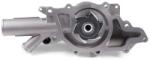 HEPU P1531 Pompă de apă, răcire motor