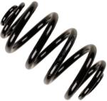 BILSTEIN 38-228599 Arc spiral
