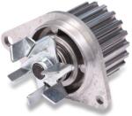 HEPU P813 Pompă de apă, răcire motor