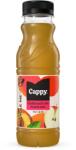 Cappy Gyümölcslé CAPPY Őszibarack mix 50-os 0, 33L DRS 989010 (989010)